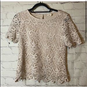 Adiva Lace Cream short Sleeve Blouse